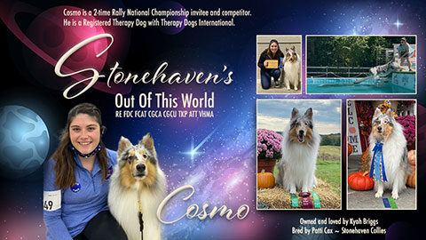 Stonehaven Collies -- Stonehaven's Out Of This World RE FDC CGCA CGCU TKP ATT VHMA