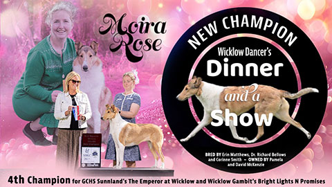 Wicklow Collies -- CH Wicklow's Dancer's Dinner And A Show