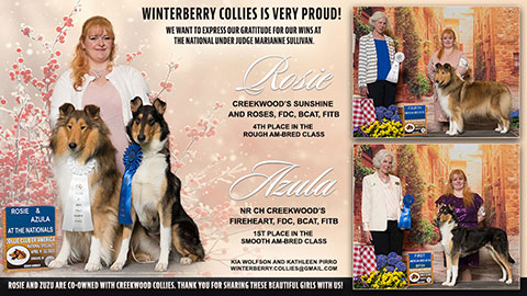 Winterberry Collies -- Creekwood Sunshine And Roses FDC BCAT FITB / Creekwood's Fireheart FDC BCAT FITB