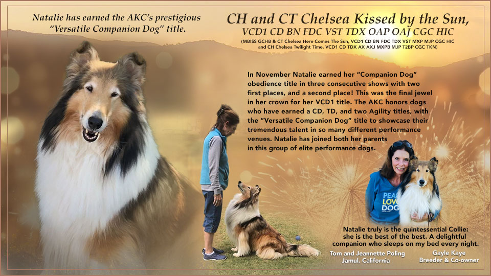 Tom and Jeannette Poling -- CH CT Chelsea Kissed by the Sun VCD1 CD BN FDC VST TDX OAP OAJ CGC HIC