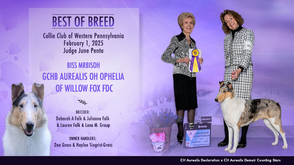 Dee Gross / Haylee Siegrest-Gross -- GCHB Aurealis Oh Ophelia Of Willow Fox FDC