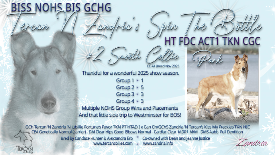 Tercan Collies / Zandria Collies -- GCHG Tercan 'N Zandria's Spin The Bottle HT FDC ACT1 TKN CGC