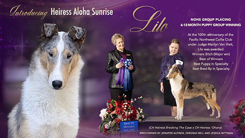 Deborah Bell -- Heiress Aloha Sunrise