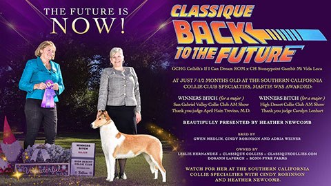 Classique Collies / Bonn-Fyre Farms -- Classique Back To The Future