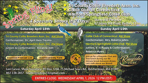 Tri County Collie Breeders Assoc. / Collie Club of Connecticut / Hartford Springfield Collie Club -- 2026 Specialty Shows