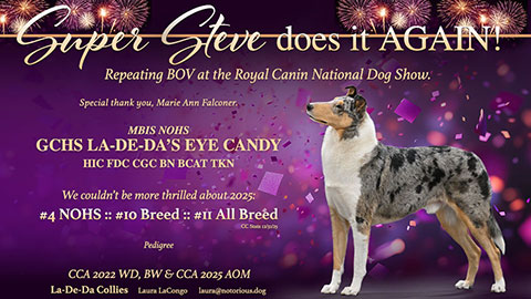 La-De-Da Collies -- GCHS La-De-Da's Eye Candy HIC FDC CGC TKN BCAT BN