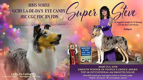 La-De-Da Collies -- GCHS La-De-Da's Eye Candy HIC FDC CGC TKN BCAT BN