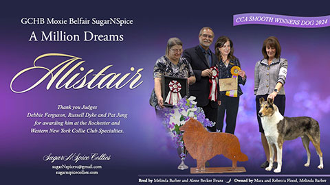 GCHB Moxie Belfair SugarNSpice A Million Dreams