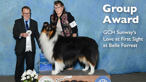 Group Award for GCH Sunway's Love At First Sight At Belle Forrest