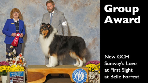 Group Award for GCH Sunway's Love At First Sight At Belle Forrest