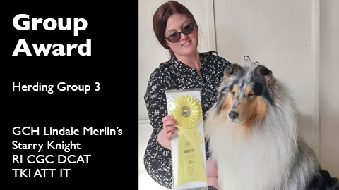 Group Award for GCH Lindale Merlin’s Starry Knight RI CGC DCAT TKI ATT IT