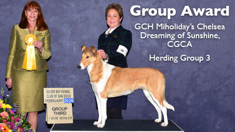 Group 3 for GCH Miholiday's Chelsea Dreaming of Sunshine CGCA 