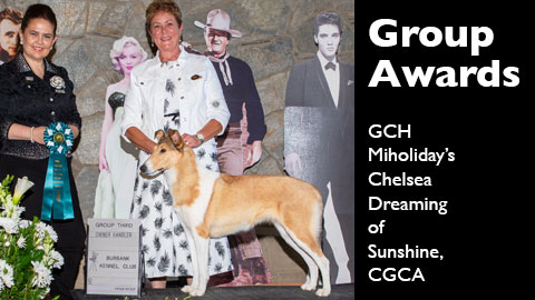 Group Awards for Miholiday Collies