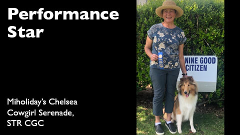 Miholiday's Chelsea Cowgirl Serenade, STR CGC awarded AKC Canine Good Citizen Test (CGC)
