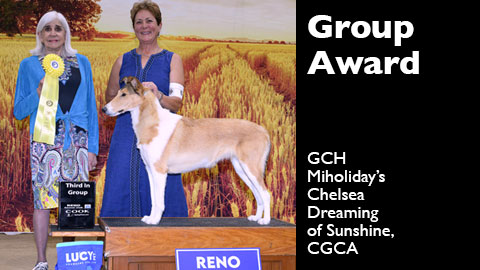 Group Award for Miholiday Collies