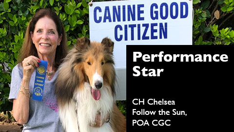 CH Chelsea Follow the Sun, POA CGC awarded AKC Canine Good Citizen Test (CGC)