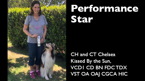CH and CT Chelsea Kissed By the Sun, VCD1 CD BN FDC TDX VST OA OAJ CGCA HIC awarded AKC Canine Good Citizen Test Advanced (CGCA)