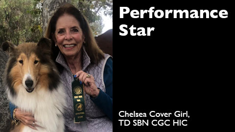 Chelsea Cover Girl, TD SBN CGC HIC awarded Scent Work Buried Novice