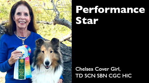 Chelsea Cover Girl, TD SCN SBN CGC HIC awarded Scent Work Container Novice (SCN)
