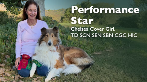 Chelsea Cover Girl, TD SCN SEN SBN CGC HIC awarded Scent Work Exterior Novice (SEN)