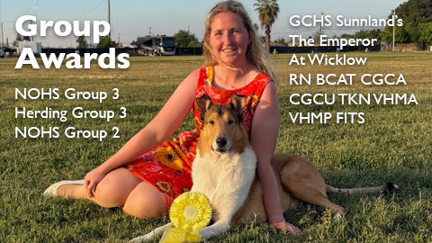 Group Awards for GCHS Sunnland's The Emperor At Wicklow RN BCAT CGCA CGCU TKN VHMA VHMP FITS