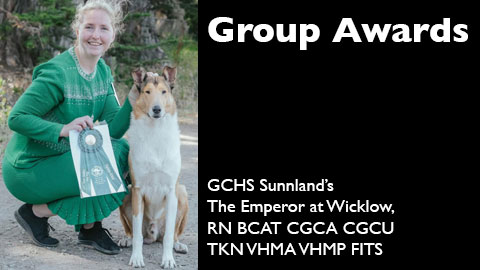 GCHS Sunnland's The Emperor at Wicklow RN BCAT CGCA CGCU TKN VHMA VHMP FITS awarded back-to-back NOHS Group 3 at Del Monte KC