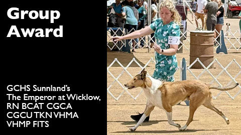 GCHS Sunnland's The Emperor at Wicklow, RN BCAT CGCA CGCU TKN VHMA VHMP FITS awarded NOHS Group 2 at Del Monte KC