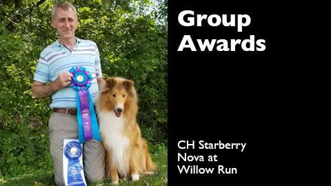 Group Awards for Willow Run Collies
