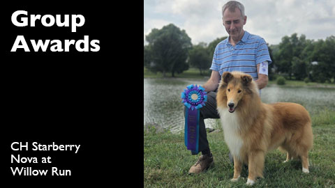 Group Awards for Willow Run Collies